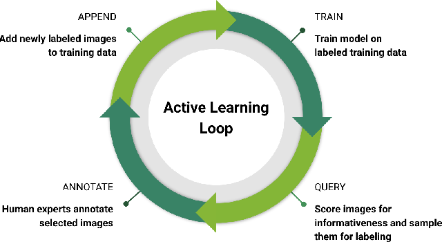 active learning